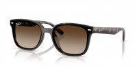 Ray Ban RB4461D 710/13