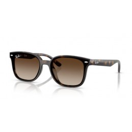 Ray Ban RB4461D 710/13 Ray Ban RB4461D 710/13