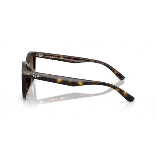 Ray Ban RB4461D 710/13 Ray Ban RB4461D 710/13