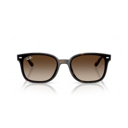 Ray Ban RB4461D 710/13 Ray Ban RB4461D 710/13