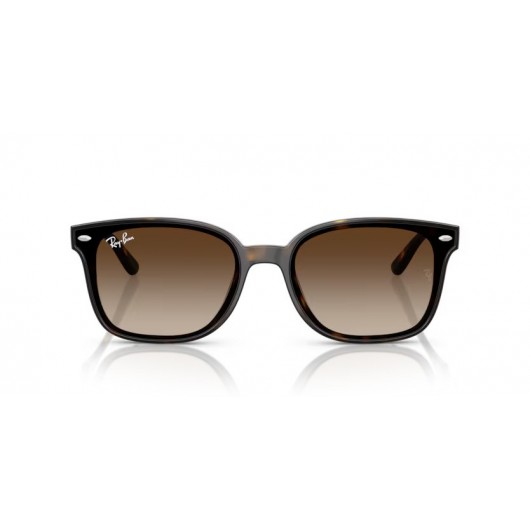 Ray Ban RB4461D 710/13 Ray Ban RB4461D 710/13