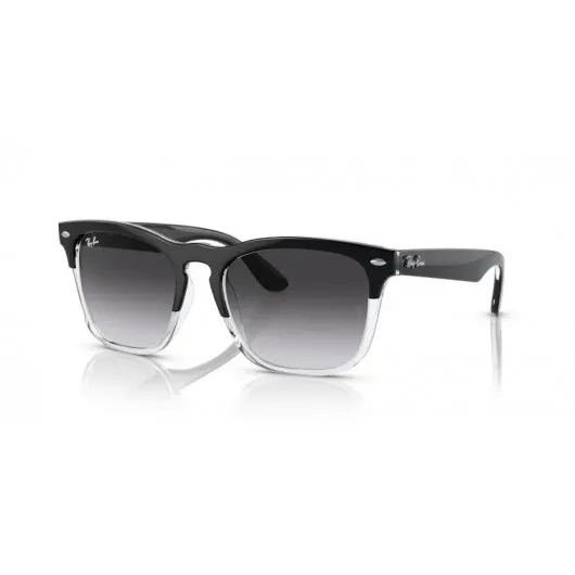 Ray Ban Steve RB4487 66308G Ray Ban Steve RB4487 66308G