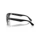 Ray Ban Steve RB4487 66308G Ray Ban Steve RB4487 66308G