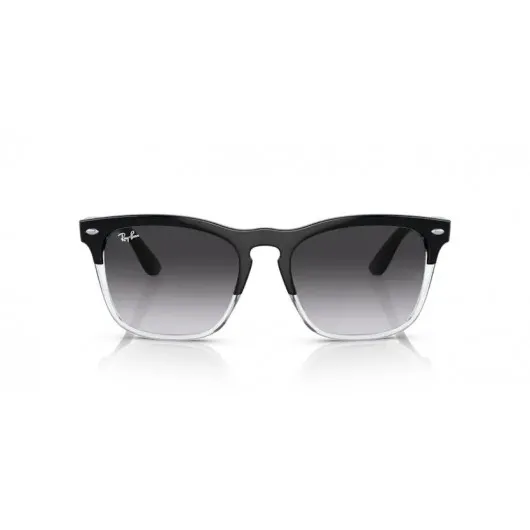 Ray Ban Steve RB4487 66308G Ray Ban Steve RB4487 66308G