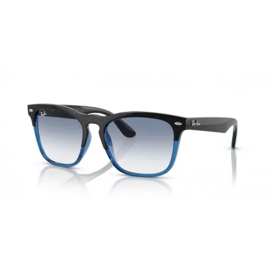 Ray Ban Steve RB4487 663219 Ray Ban Steve RB4487 663219
