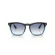 Ray Ban Steve RB4487 663219 Ray Ban Steve RB4487 663219