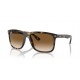 Ray Ban Boyfriend Two RB4547 710/51