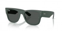 Ray Ban RB4840S 665787