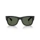 Ray Ban RB4840S 601S71 Ray Ban RB4840S 601S71
