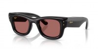 Ray Ban WAYFARER PUFFER RB4940 601/69