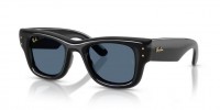 Ray Ban WAYFARER PUFFER RB4940 601/80