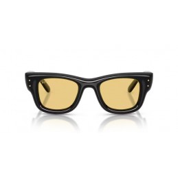 Ray Ban WAYFARER PUFFER RB4940 601/85