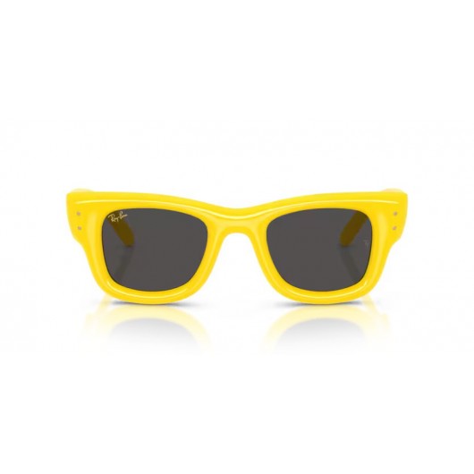 Ray Ban WAYFARER PUFFER RB4940 683087 Ray Ban WAYFARER PUFFER RB4940 683087