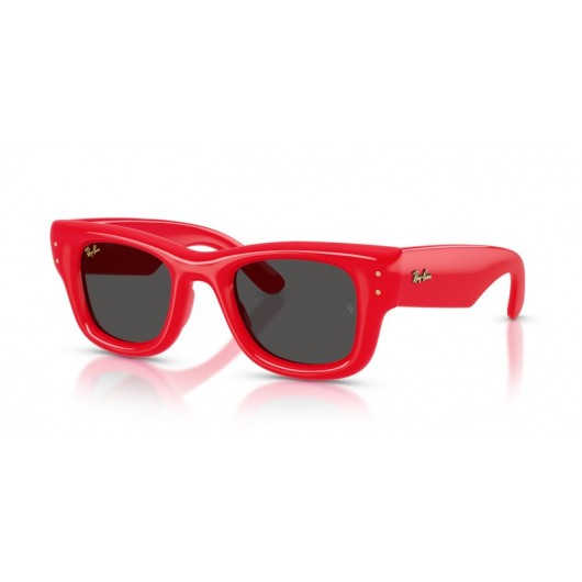 Ray Ban WAYFARER PUFFER RB4940 683187