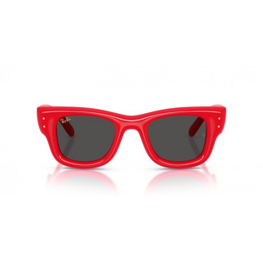 Ray Ban WAYFARER PUFFER RB4940 683187
