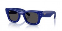 Ray Ban WAYFARER PUFFER RB4940 683387