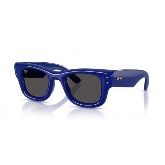 Ray Ban WAYFARER PUFFER RB4940 683387