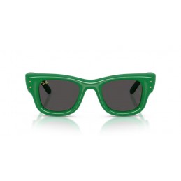 Ray Ban WAYFARER PUFFER RB4940 683487 Ray Ban WAYFARER PUFFER RB4940 683487