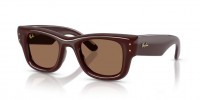 Ray Ban WAYFARER PUFFER RB4940 687773