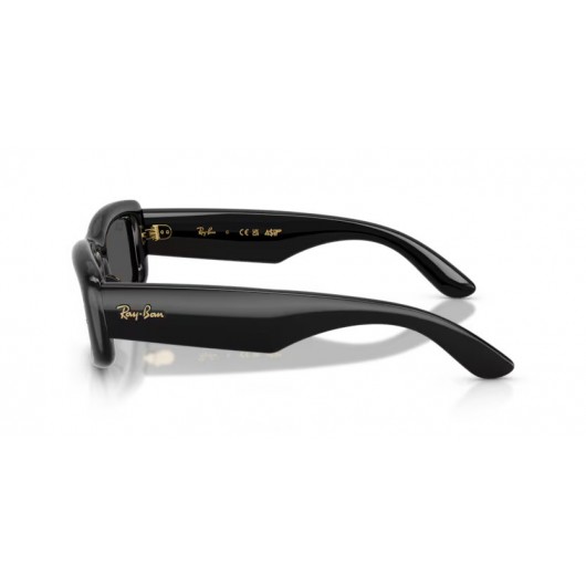 Ray Ban ASAP ROCKY RB4944 601/87