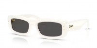 Ray Ban ASAP ROCKY RB4944 687487