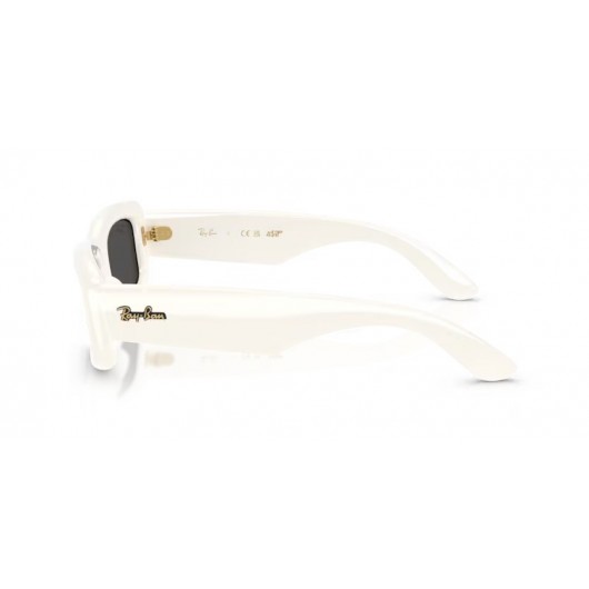 Ray Ban ASAP ROCKY RB4944 687487