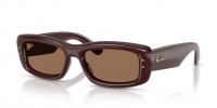 Ray Ban ASAP ROCKY RB4944 687773