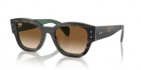 Ray Ban Jorge RB7681S 140251