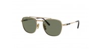 Ray Ban Frank II Titanium RB8258 313852