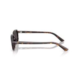 Ray Ban Zuri RB4455 135987 Ray Ban Zuri RB4455 135987