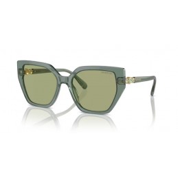 Swarovski SK6016 104382 Swarovski SK6016 104382