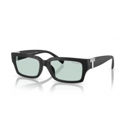 TIFFANY & Co TF4226U 8425D9 TIFFANY & Co TF4226U 8425D9