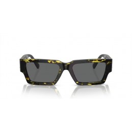 Versace VE4459 542887 Versace VE4459 542887