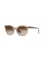 Vogue VO5427S 294013