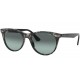 RAYBAN RB2185 1250/AD WAYFARER II PHOTOCHROMIC - RAYBAN