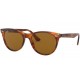 RAYBAN RB2185 954/33 WAYFARER II - RAYBAN