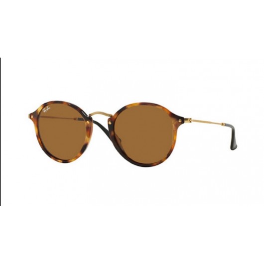 Ray-Ban ROUND RB2447 1160 - RAYBAN