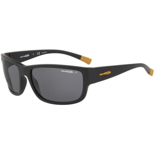 Arnette 4256 01/81 BUSHWICK Polarized