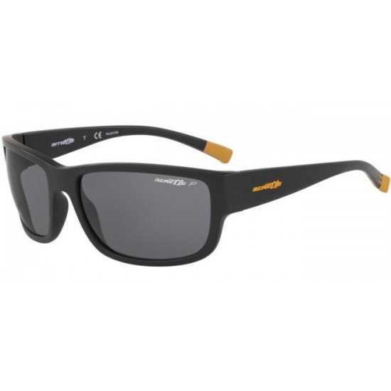 ARNETTE 4256 01/81 BUSHWICK POLARIZED ARNETTE 4256 01/81 BUSHWICK POLARIZED