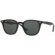 Ray Ban  RB4258 601/71 - RAYBAN