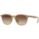 Ray Ban  RB4259 6166/13 - RAYBAN