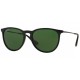 RayBan RB4171 601/2P 54 ERIKA POLARIZED - RAYBAN