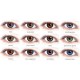 FRESHLOOK COLORBLENDS (2-PACK) - ΜΗΝΙΑΙΑΣ ΑΝΤΙΚΑΤΑΣΤΑΣΗΣ FRESHLOOK COLORBLENDS (2-PACK) - ΜΗΝΙΑΙΑΣ ΑΝΤΙΚΑΤΑΣΤΑΣΗΣ